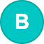 BORA logosu
