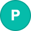 Powerledger logosu