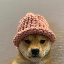 dogwifhat logosu